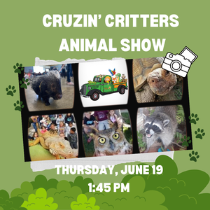 Cruzin’ Critte